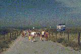 strand1_s.jpg (4716 bytes)