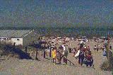 strand2_s.jpg (5680 bytes)
